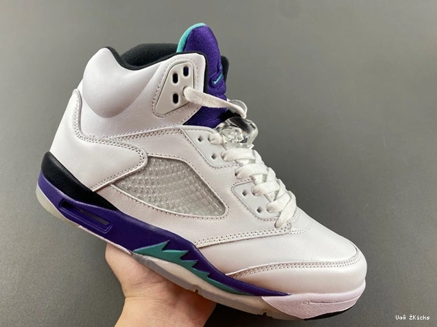 1877 DailyWear  Grape 136027- 5 Jordan 547 Retro 0807